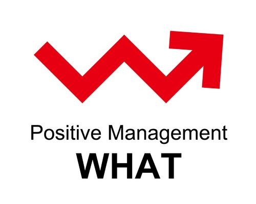 positive management WHAT