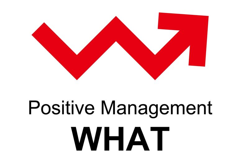 positive management WHAT